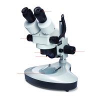 Microscópio Estéreo com Zoom